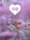 eCard - Butterfly DIFD